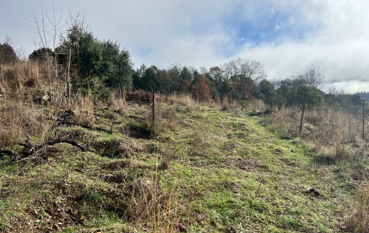 Terrain MONS (34390)   12 000 € 