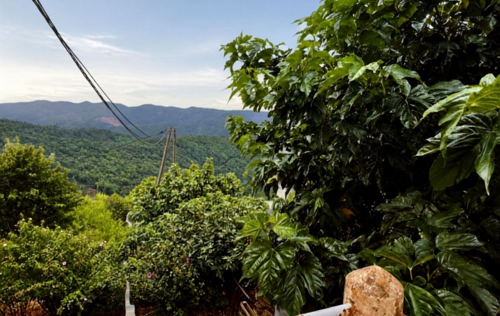 Maison de village COMBES (34240)  62 m2 80 000 € 