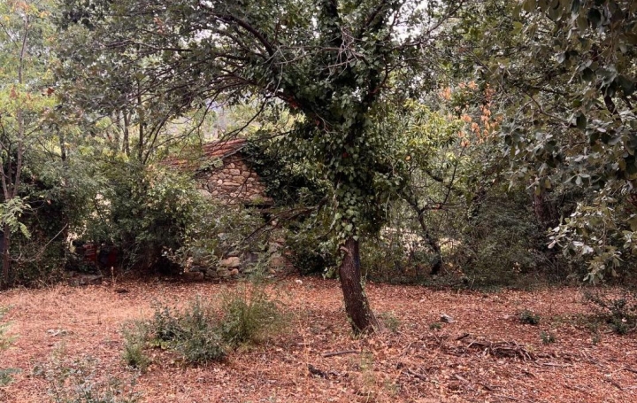 Terrain OLARGUES (34390)  13 m2 18 000 € 