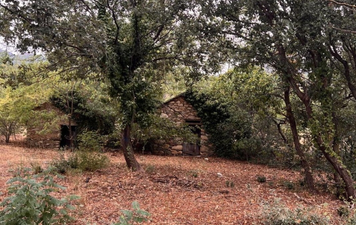 Terrain OLARGUES (34390)  13 m2 18 000 € 
