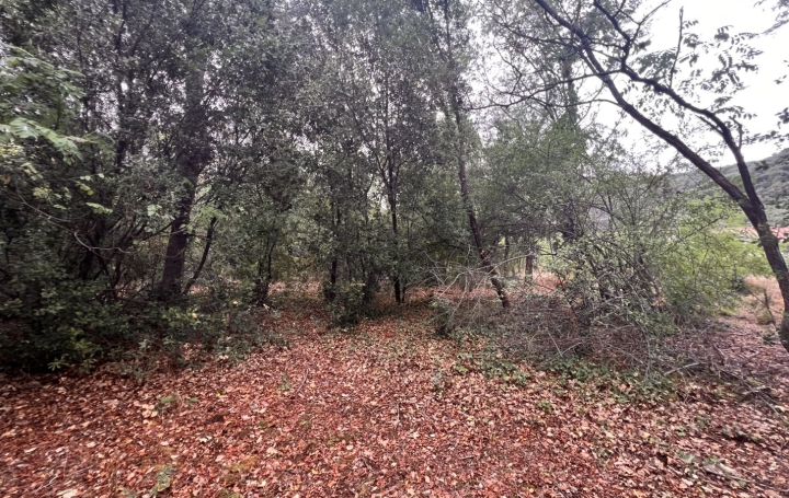 Terrain OLARGUES (34390)  13 m2 18 000 € 