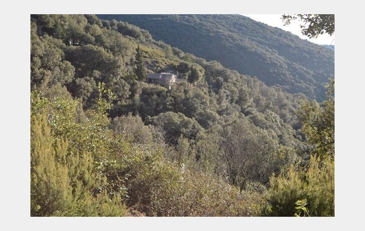 Réseau Immo-diffusion : Maison  VIEUSSAN  90 m2 159 000 € 