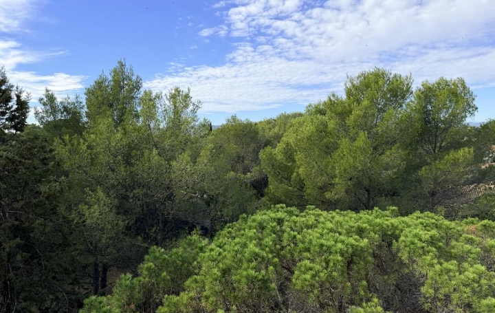 3 Pièces SAINT-RAPHAEL (83700)  61 m2 1 300 € 