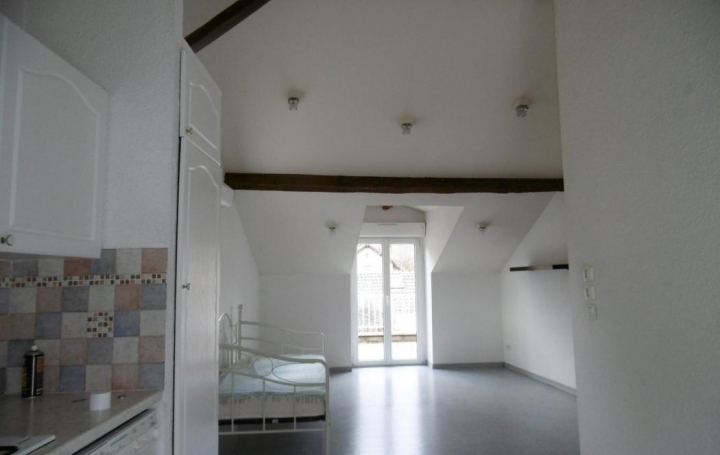 Réseau Immo-diffusion : Appartement P2  TARASCON-SUR-ARIEGE  58 m2 550 € 