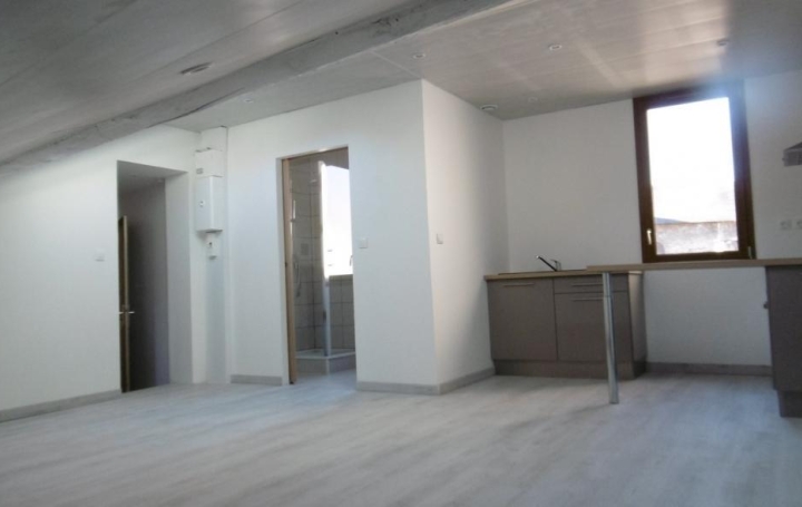 Réseau Immo-diffusion : Appartement P2  TARASCON-SUR-ARIEGE  26 m2 310 € 