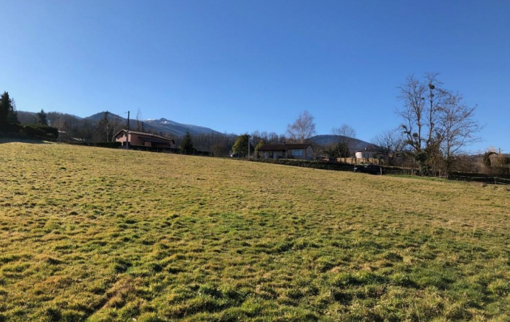 Réseau Immo-diffusion : Terrain  GANAC   88 000 € 