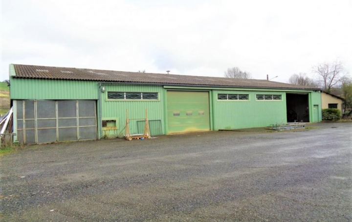 Réseau Immo-diffusion : Local commercial  SABARAT  493 m2 177 400 € 