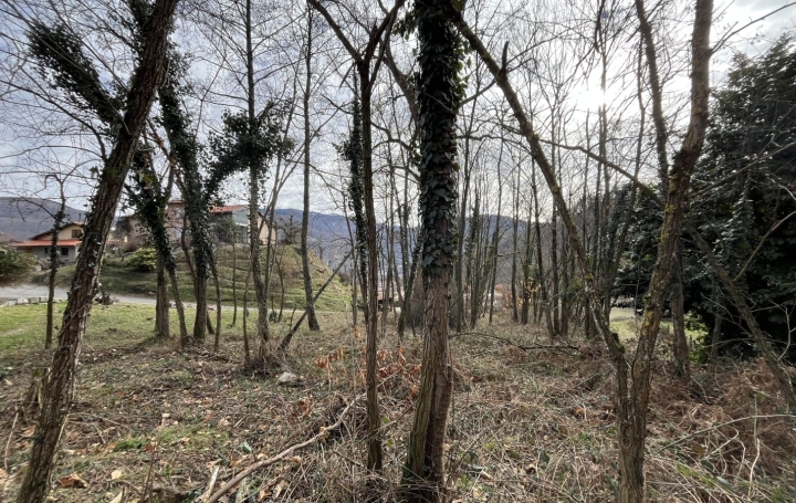 Terrain MERCUS-GARRABET (09400)   30 000 € 