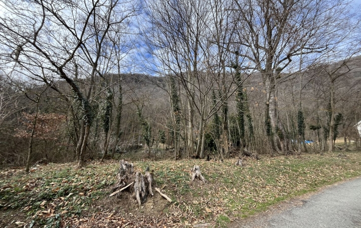 Terrain MERCUS-GARRABET (09400)   30 000 € 