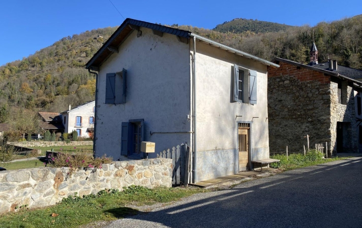 Réseau Immo-diffusion : Maison  SIGUER  44 m2 84 000 € 