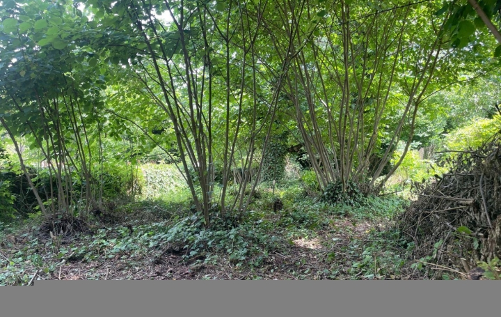 Maison CHATEAU-VERDUN (09310)  140 m2 44 000 € 