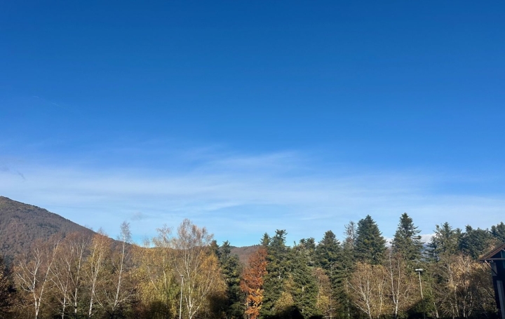 Studio AX-LES-THERMES (09110)  20 m2 59 000 € 