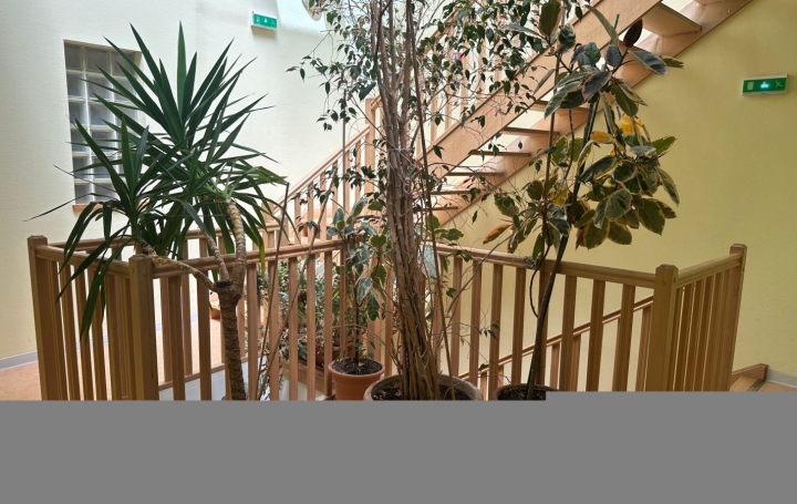 3 Pièces AX-LES-THERMES (09110)  64 m2 172 500 € 