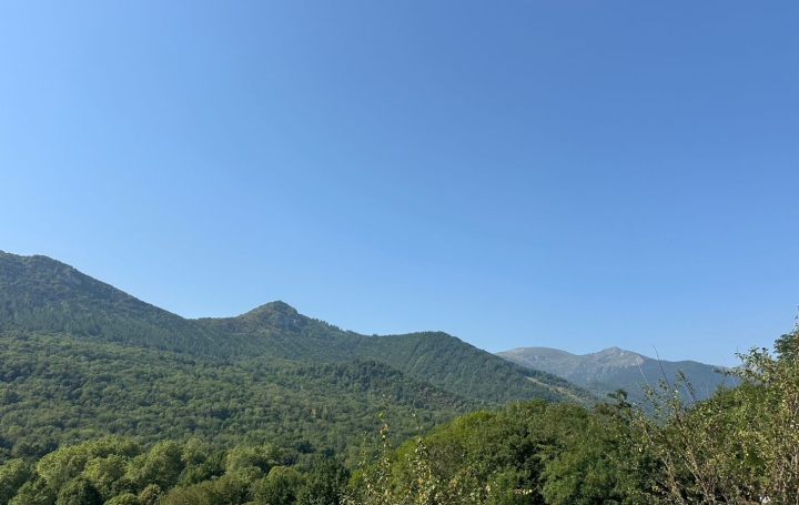 Terrain RABAT-LES-TROIS-SEIGNEURS (09400)   54 000 € 