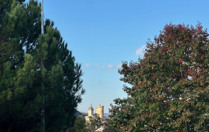 Terrain FOIX (09000)   81 000 € 