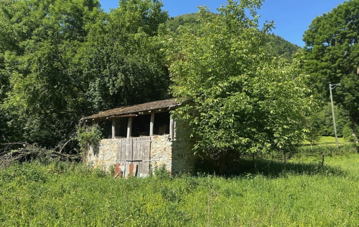 Maison VICDESSOS (09220)  66 m2 99 500 € 