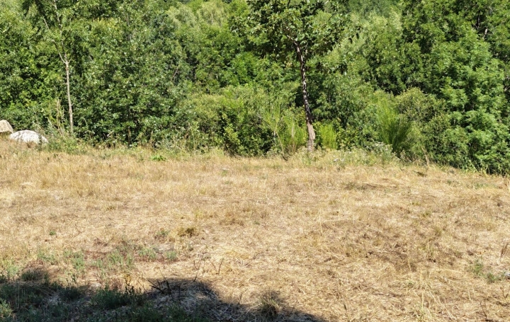 Terrain AX-LES-THERMES (09110)   55 600 € 