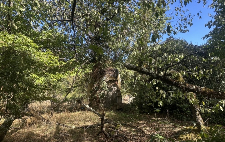 Terrain MONTGAILLARD (09330)   116 000 € 