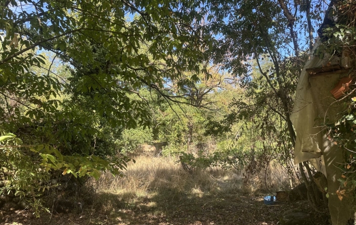 Terrain MONTGAILLARD (09330)   116 000 € 
