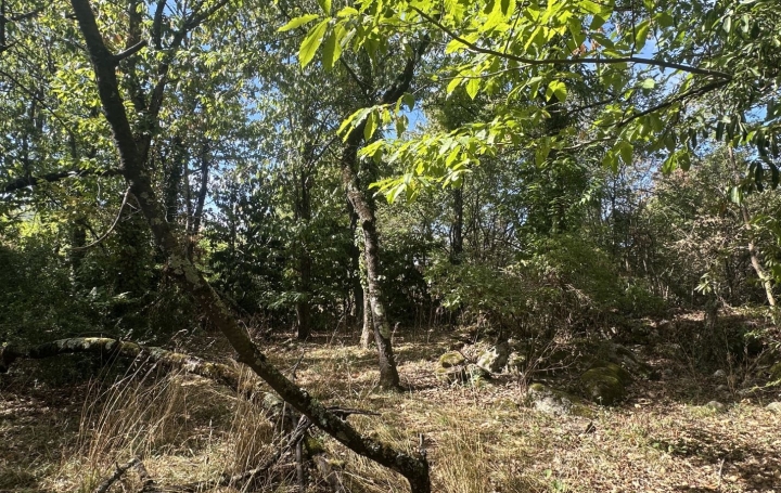 Terrain MONTGAILLARD (09330)   116 000 € 