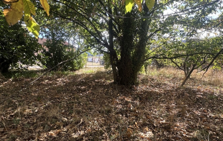 Terrain MONTGAILLARD (09330)   116 000 € 