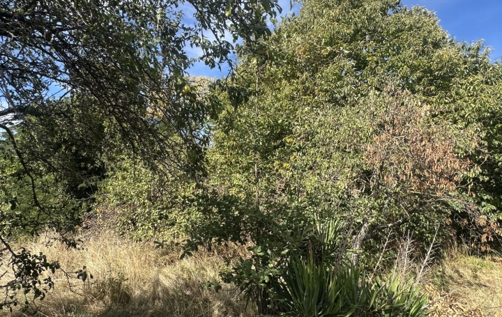 Terrain MONTGAILLARD (09330)   116 000 € 