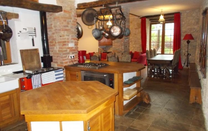 Réseau Immo-diffusion : Maison  LEZAT-SUR-LEZE  481 m2 660 000 € 