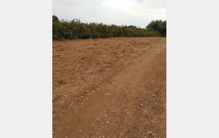 Réseau Immo-diffusion : Terrain  SAUSSAN  4 200 m2 49 000 € 