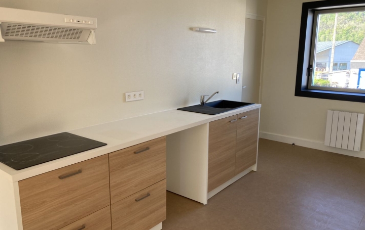 Réseau Immo-diffusion : Appartement P4  ARGENTAT-SUR-DORDOGNE  86 m2 580 € 