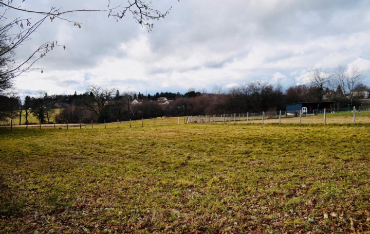 Réseau Immo-diffusion : Terrain  SAINT-JULIEN-AUX-BOIS   14 000 € 