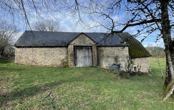 Réseau Immo-diffusion : Autre  HAUTEFAGE  300 m2 33 000 € 