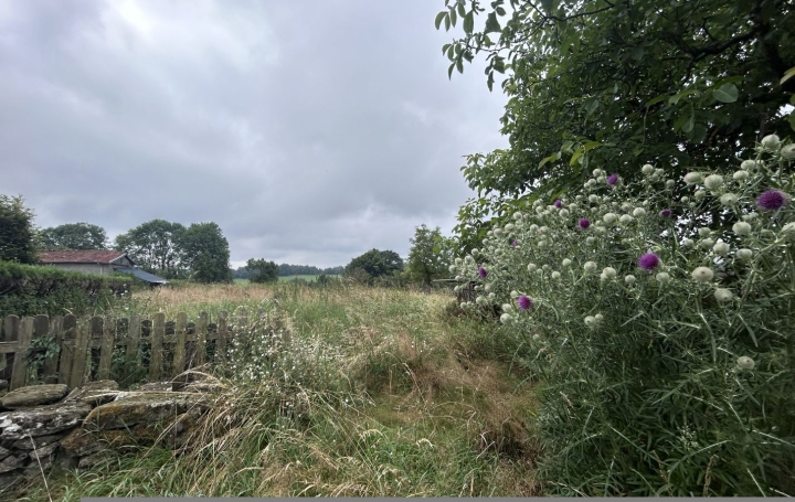 Maison PLEAUX (15700)  63 m2 118 000 € 