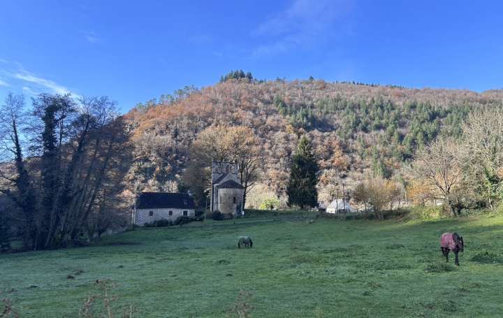 Maison SERVIERES-LE-CHATEAU (19220)  290 m2 262 500 € 