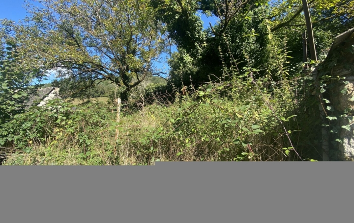 Maison SAINT-CHAMANT (19380)  87 m2 91 800 € 