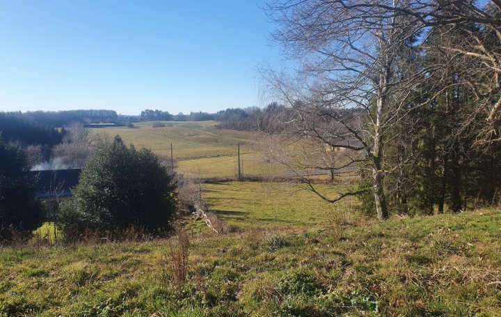 Maison SAINT-JULIEN-AUX-BOIS (19220)  85 m2 181 000 € 