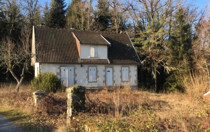 Réseau Immo-diffusion : Maison  CHAMPAGNAC-LA-PRUNE  120 m2 99 360 € 