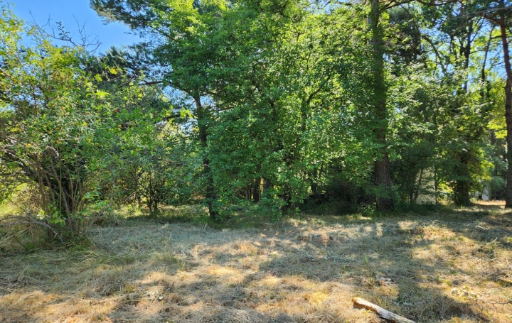 Maison PLAN-D'AUPS-SAINTE-BAUME (83640)  116 m2 390 000 € 