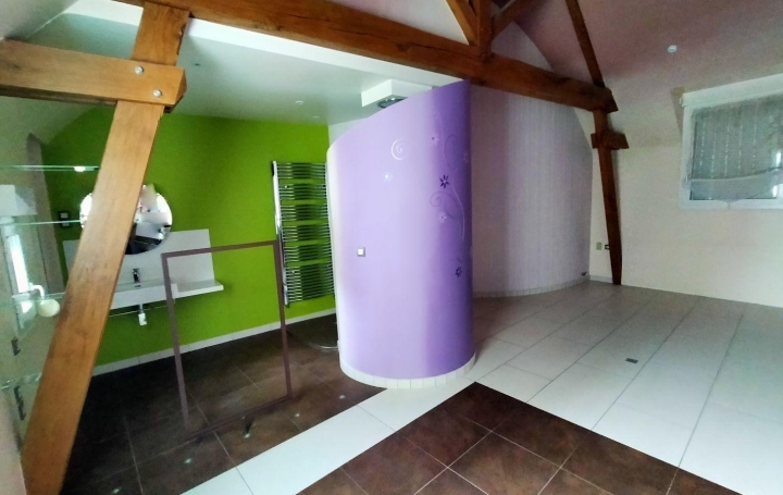 7 Pièces VILLAINES-LA-JUHEL (53700)  235 m2 750 € 