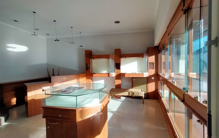 Local commercial VILLAINES-LA-JUHEL (53700)  43 m2 420 € 