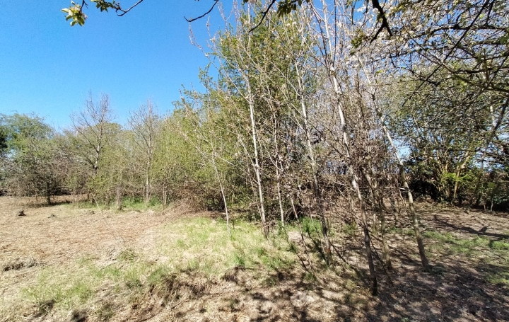 Maison AVERTON (53700)  96 m2 33 000 € 