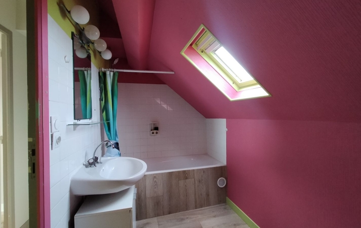 Maison LE RIBAY (53640)  93 m2 94 000 € 