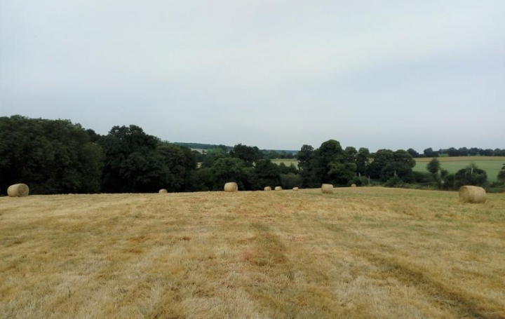 Réseau Immo-diffusion : Maison  SAINT-GEORGES-BUTTAVENT  132 m2 172 500 € 