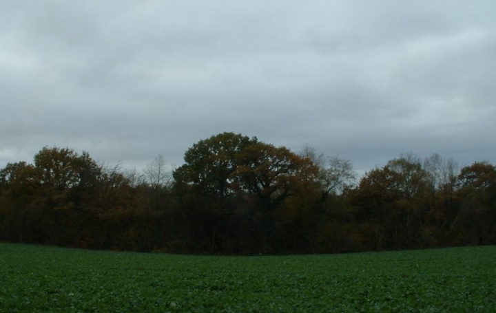 Réseau Immo-diffusion : Terrain  VILLEPAIL   22 000 € 