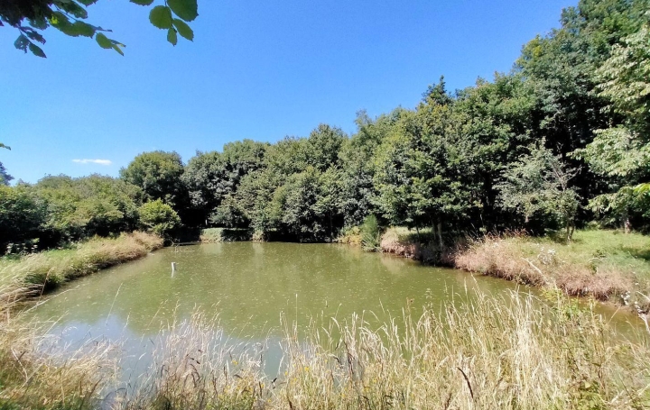 Réseau Immo-diffusion : Terrain  SAINT-THOMAS-DE-COURCERIERS   18 000 € 