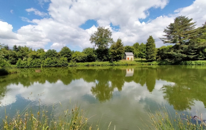 Terrain VIMARTIN-SUR-ORTHE (53160)  26 m2 38 600 € 