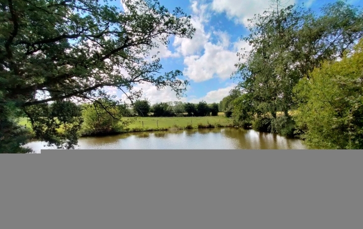 Maison JAVRON-LES-CHAPELLES (53250)  75 m2 89 500 € 