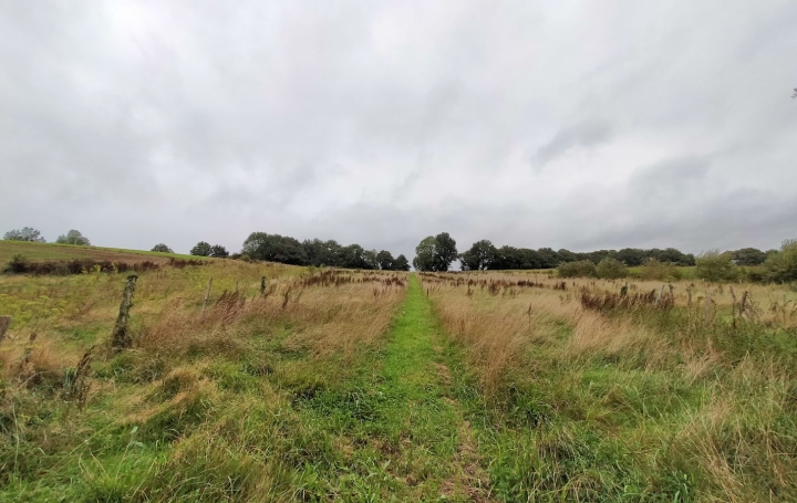 Maison VIMARTIN-SUR-ORTHE (53160)  59 m2 172 500 € 