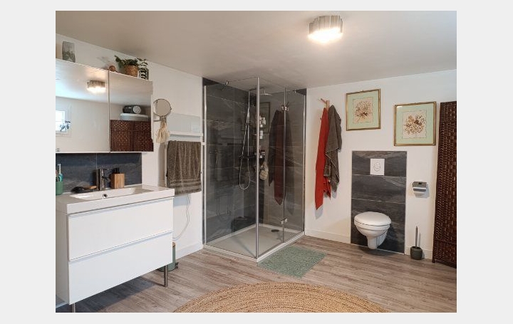 Maison VILLAINES-LA-JUHEL (53700)  133 m2 167 500 € 