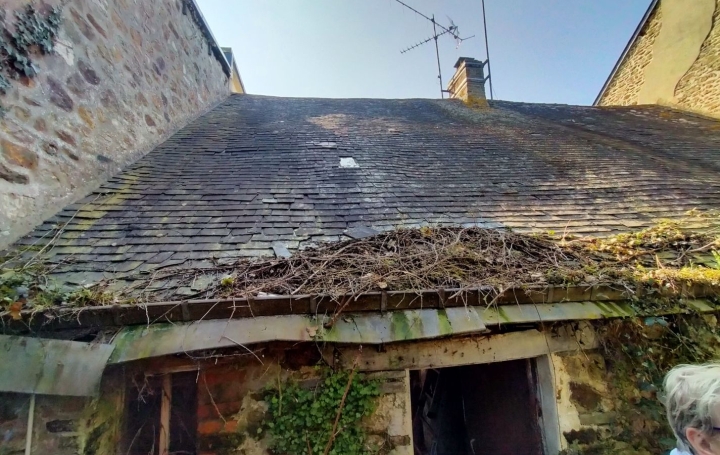 Maison VILLAINES-LA-JUHEL (53700)  40 m2 13 000 € 