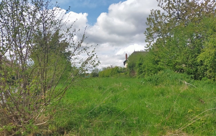 Terrain VILLAINES-LA-JUHEL (53700)   13 000 € 